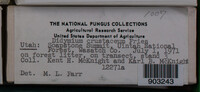 Image Associated With the Occurence